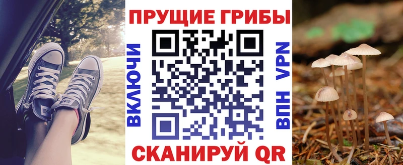 Купить закладки  Лянтор  Псилоцибиновые грибы MAGIC MUSHROOMS 